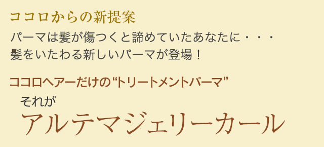 ココロからの新提案 アルテマジェリーカール